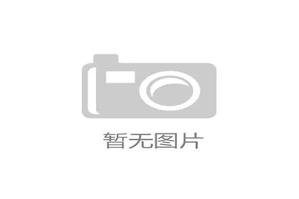 男单四强国乒两席：中国乒乓球的新高度与未来之梦